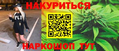 молекула духа Пугачёв