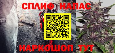 молекула духа Пугачёв