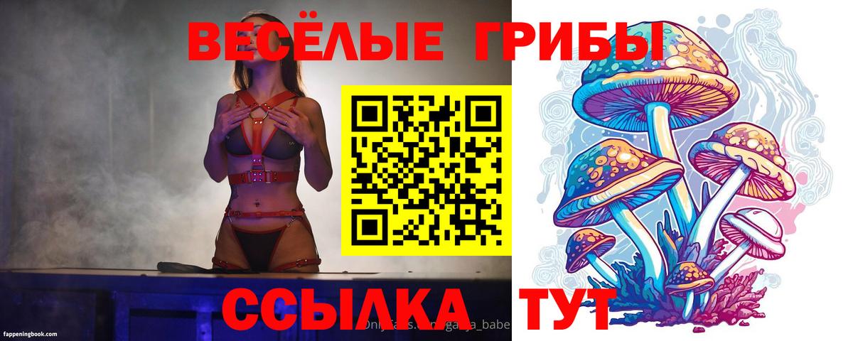 Фролово  Галлюциногенные грибы Cubensis  Вход с VPN  Галлюциногенные грибы Magic Shrooms 