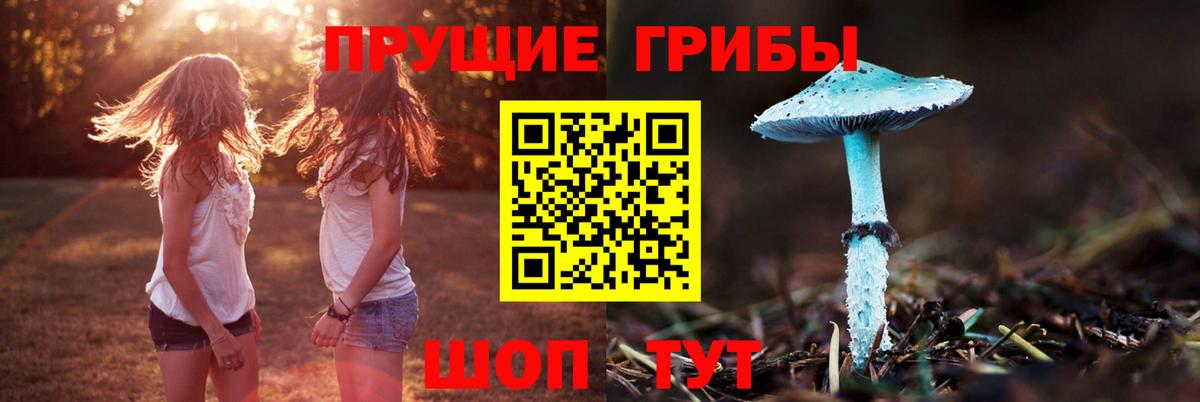 Псилоцибиновые грибы GOLDEN TEACHER Фролово